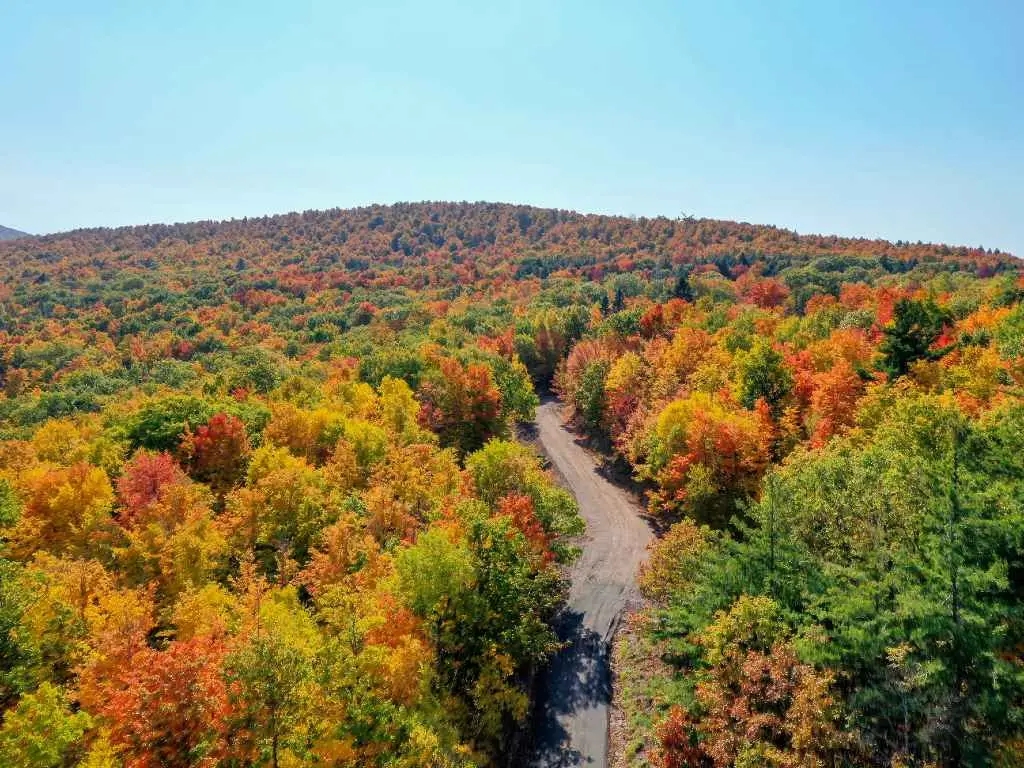 Catskills from above