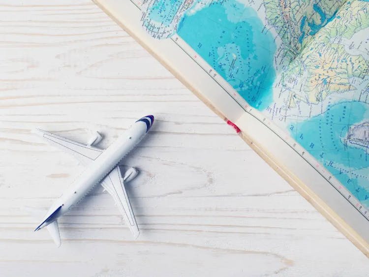 The Airlines with the Most Cheap Flight Deals from Each State