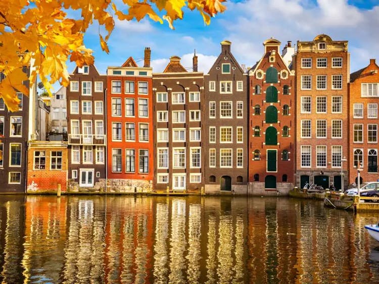 Thanksgiving Travel Guide