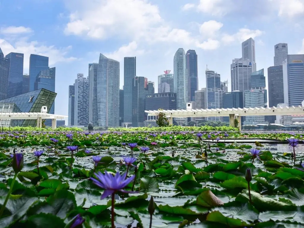 Singapore city skyline.