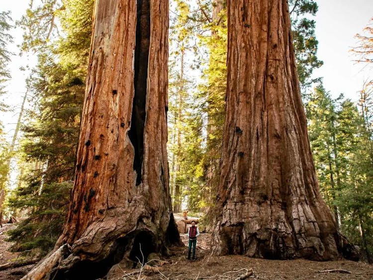 The Most Popular Bucket-List Activities in Each US State 