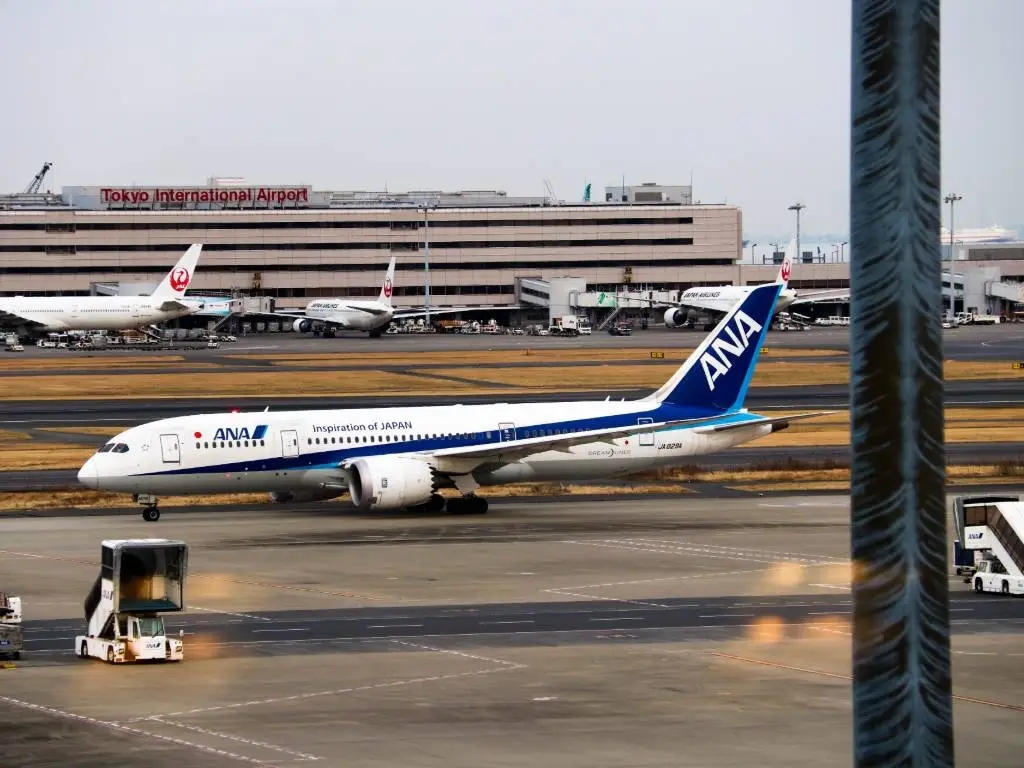ANA airplane