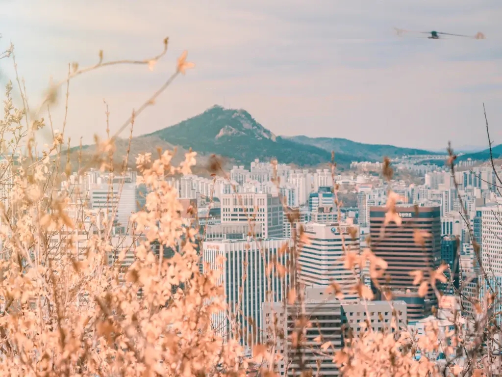 view over Seoul