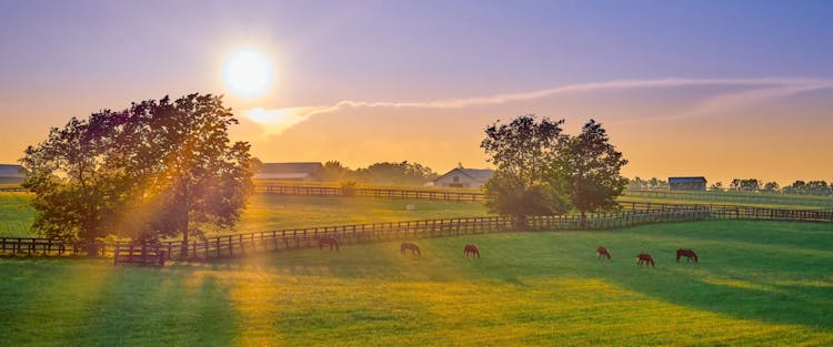Kentucky: The US State With Caves of Mammoth Proportions