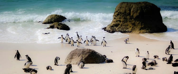 How to Have Ethical and Responsible Animal Encounters Around the World 