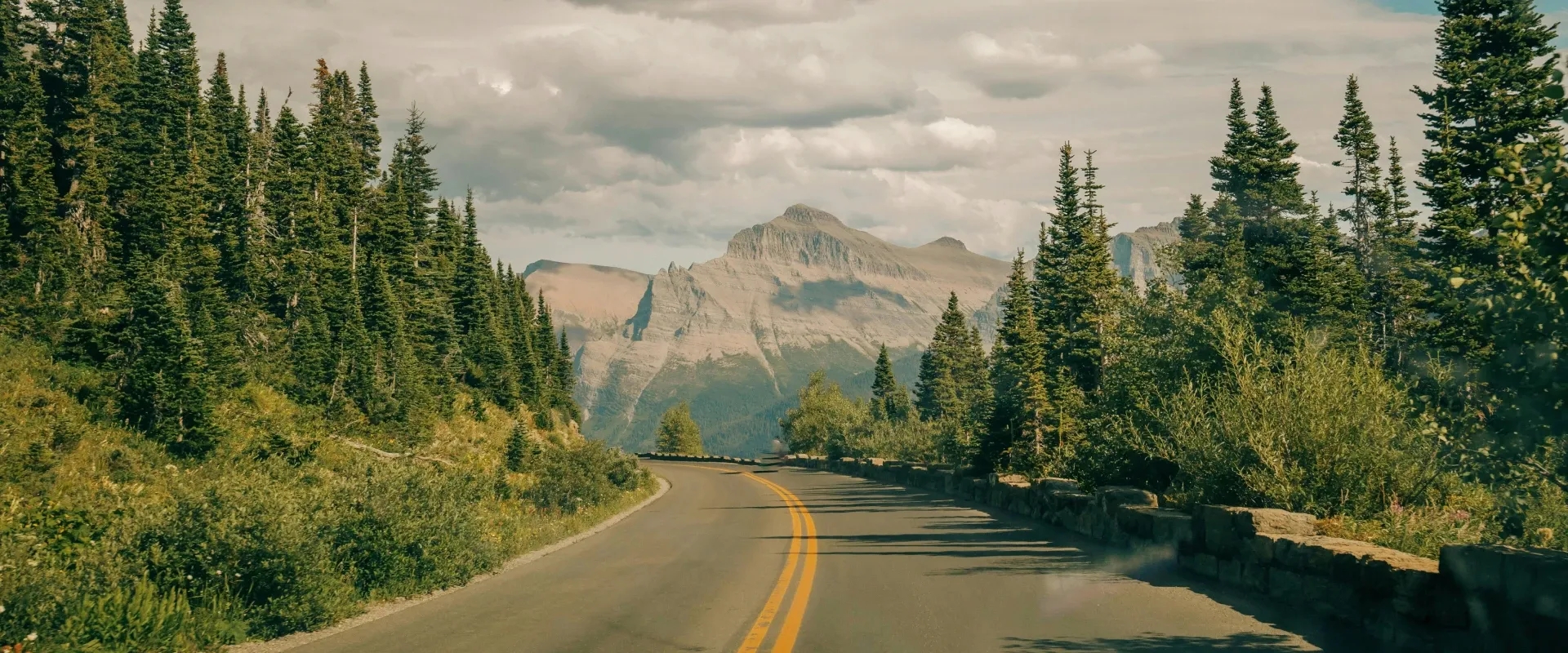 Road running through a national park
